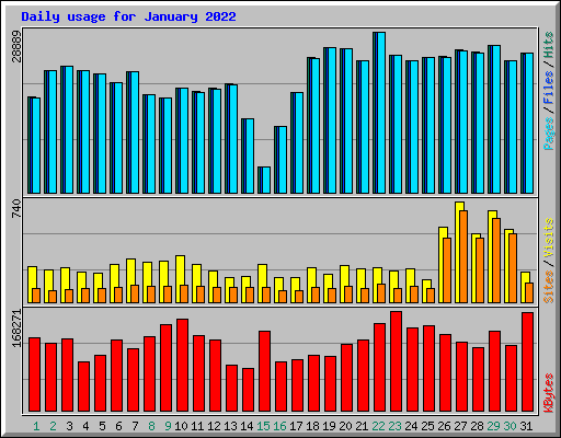 Daily usage for January 2022