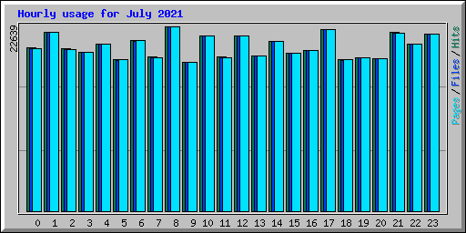 Hourly usage for July 2021