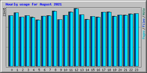 Hourly usage for August 2021