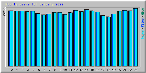 Hourly usage for January 2022